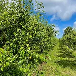 Alojamento de Turismo Rural Quinta Da Abelheira 1660 Sobral da Abelheira