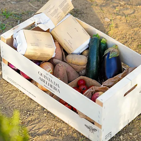 Quinta Da Abelheira 1660 팜스테이 *